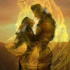 Meet your Posher, Chad